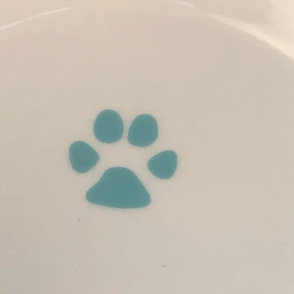White and real Blue Polka Dot ceramic Pet Bowl teal paw print inside